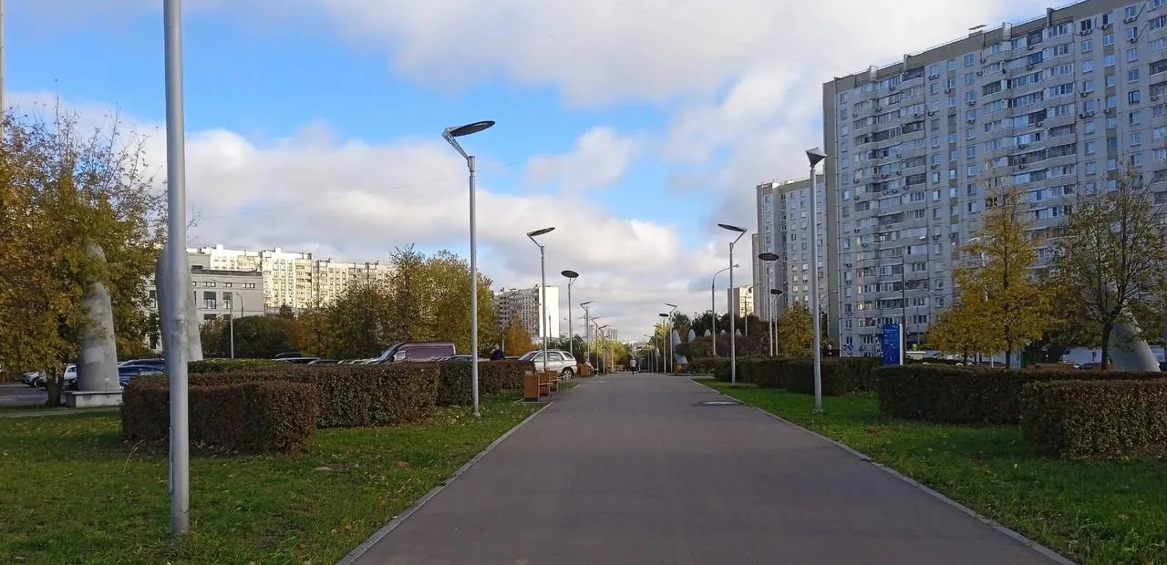 У метро «Борисово».