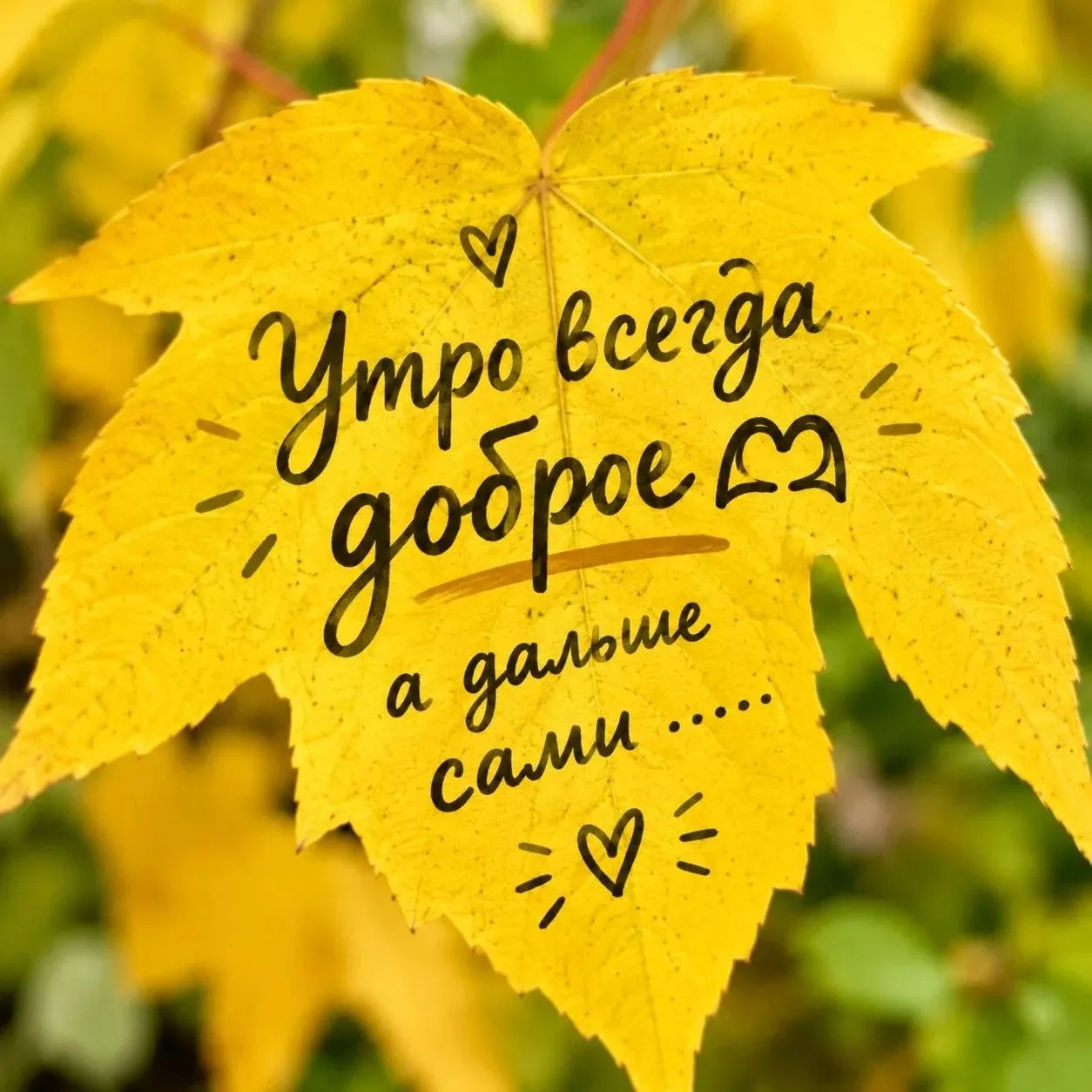 Сегодня пятница, 16 октября.