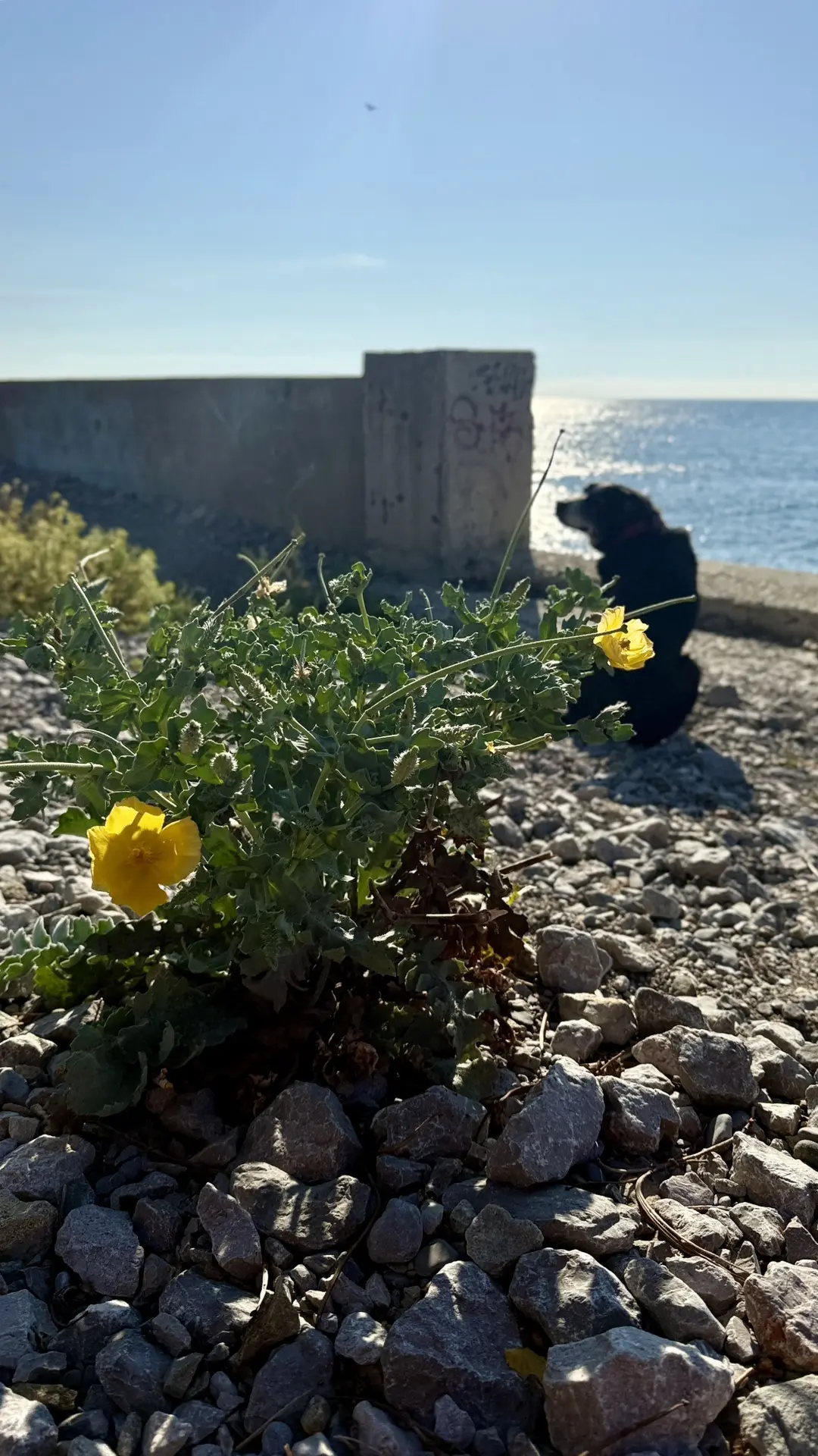 🌊☀️ Море в Понизовке сегодня!