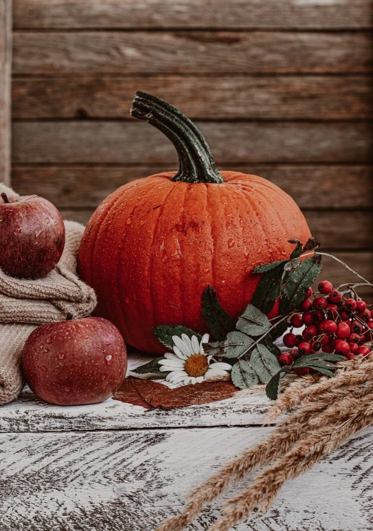 Королева октября — тыква! 🎃 Почему её стоит любить не только за хэллоуинский вайб? 🧙‍♀️✨