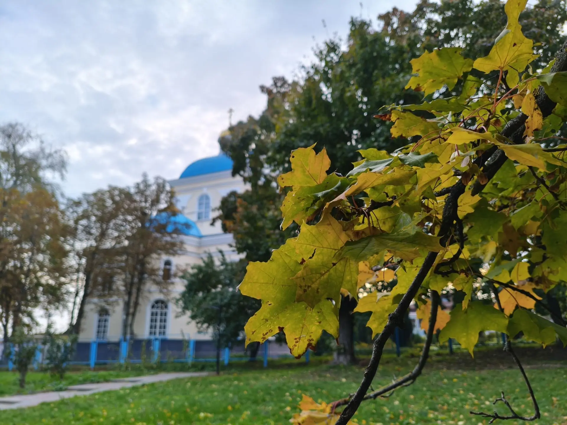 👀 В Курской области 15 октября ожидаются дожди и до 14 градусов тепла