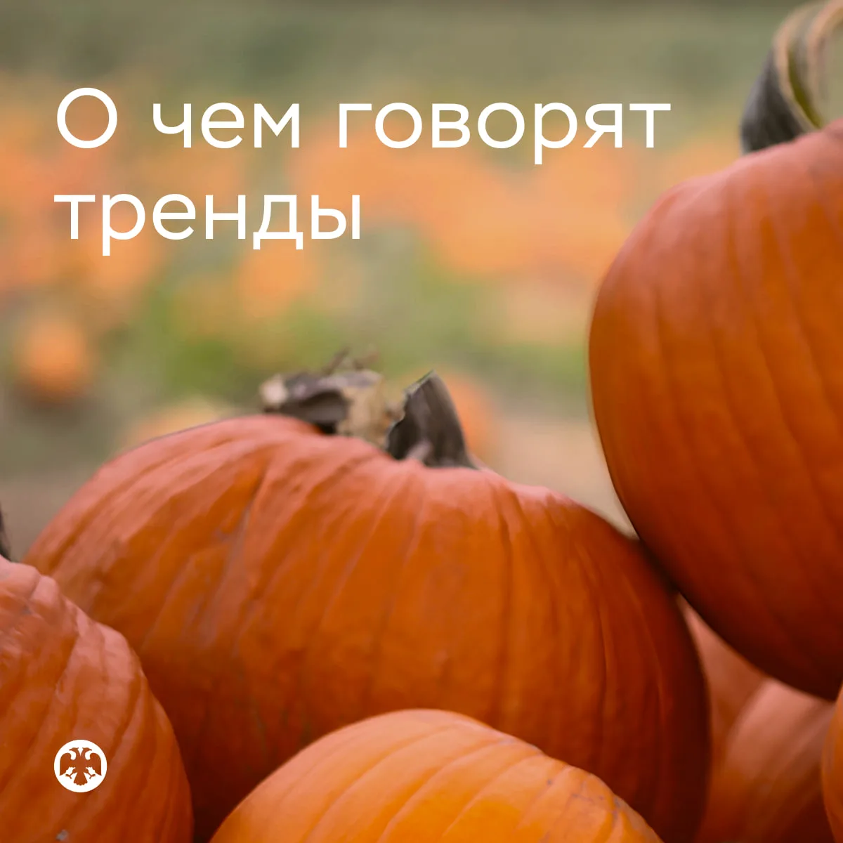 #ОЧемГоворятТренды
