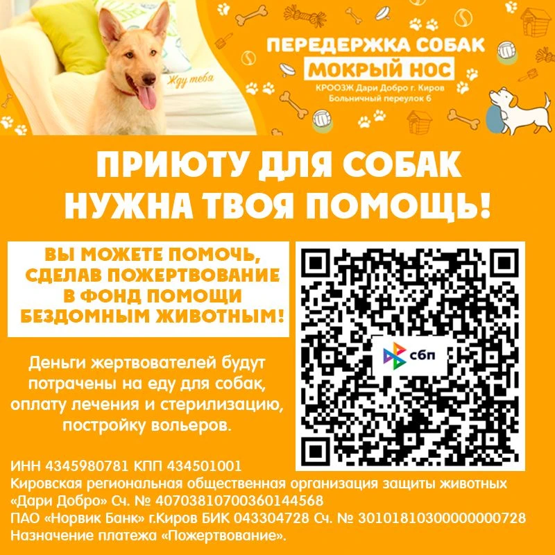 4 октября - Всемирный день защиты животных.