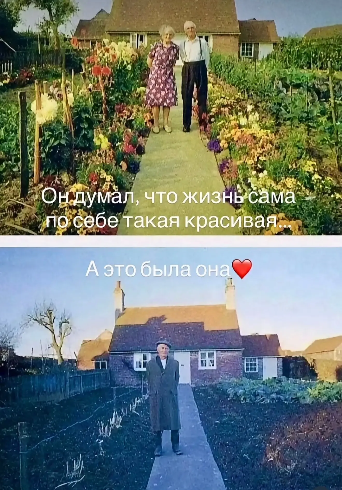 Берегите ту, что делает ваш мир цветным.