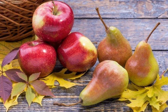 🍐Так яблоки и груши хранятся до нового урожая