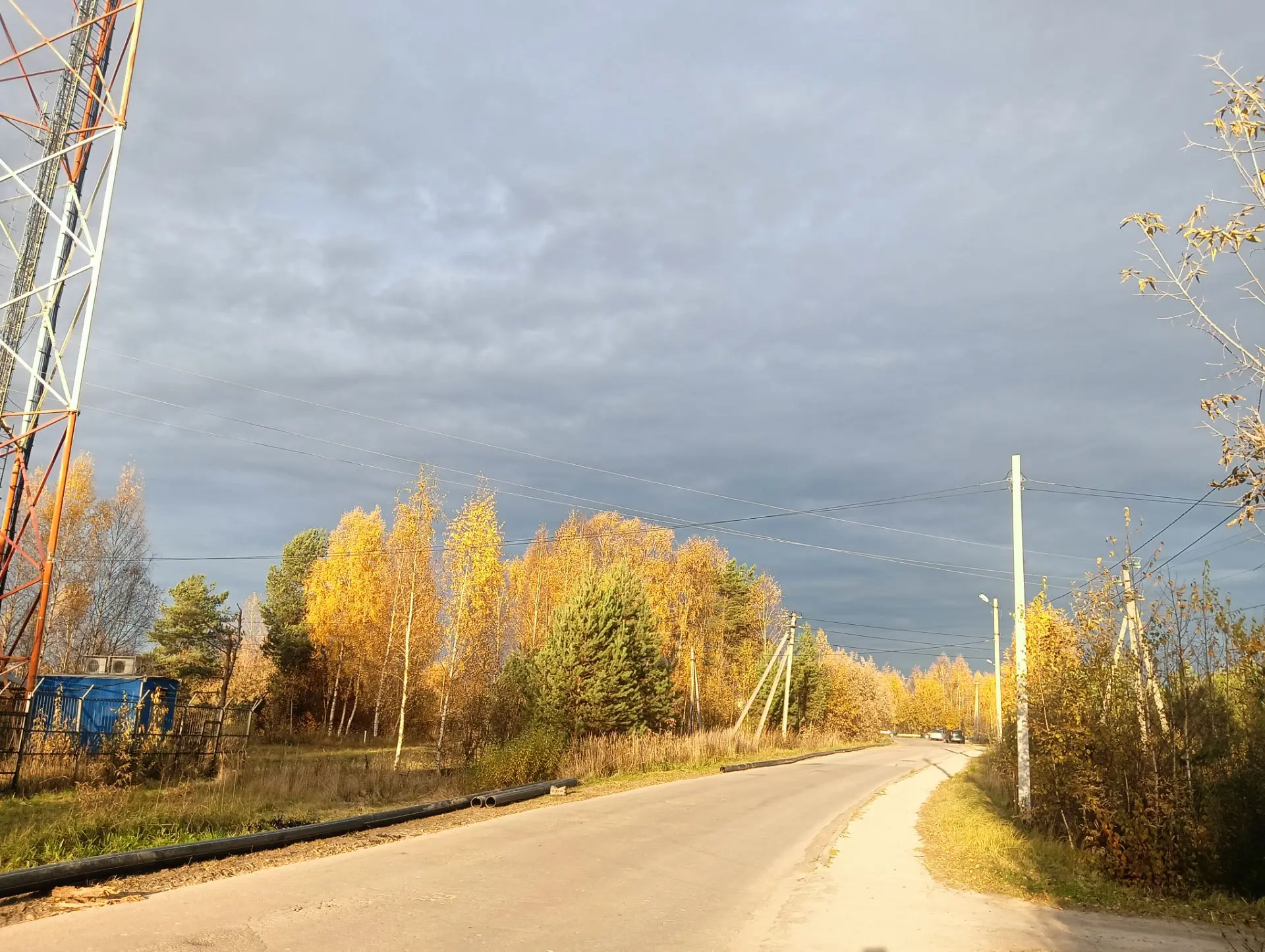 Доброе осеннее утро☺️