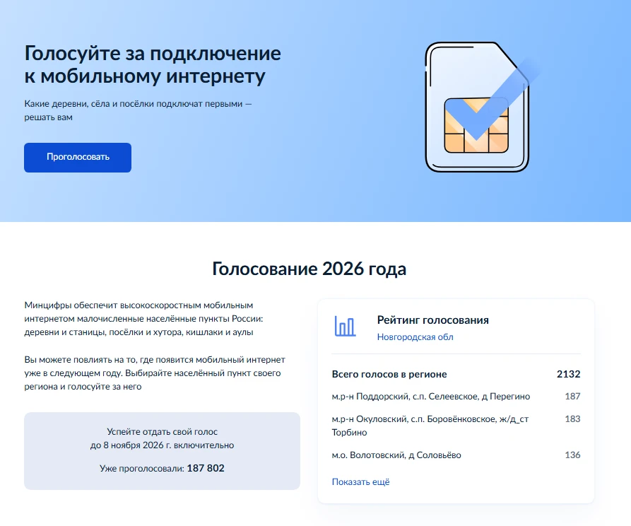 Продолжается голосование за подключение д. Перегино к интернету!
