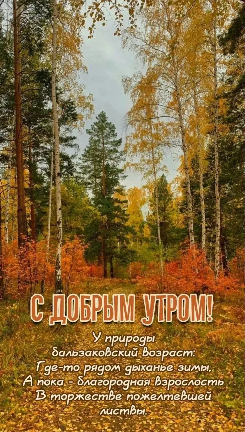 Солнце ☀️ ♥️