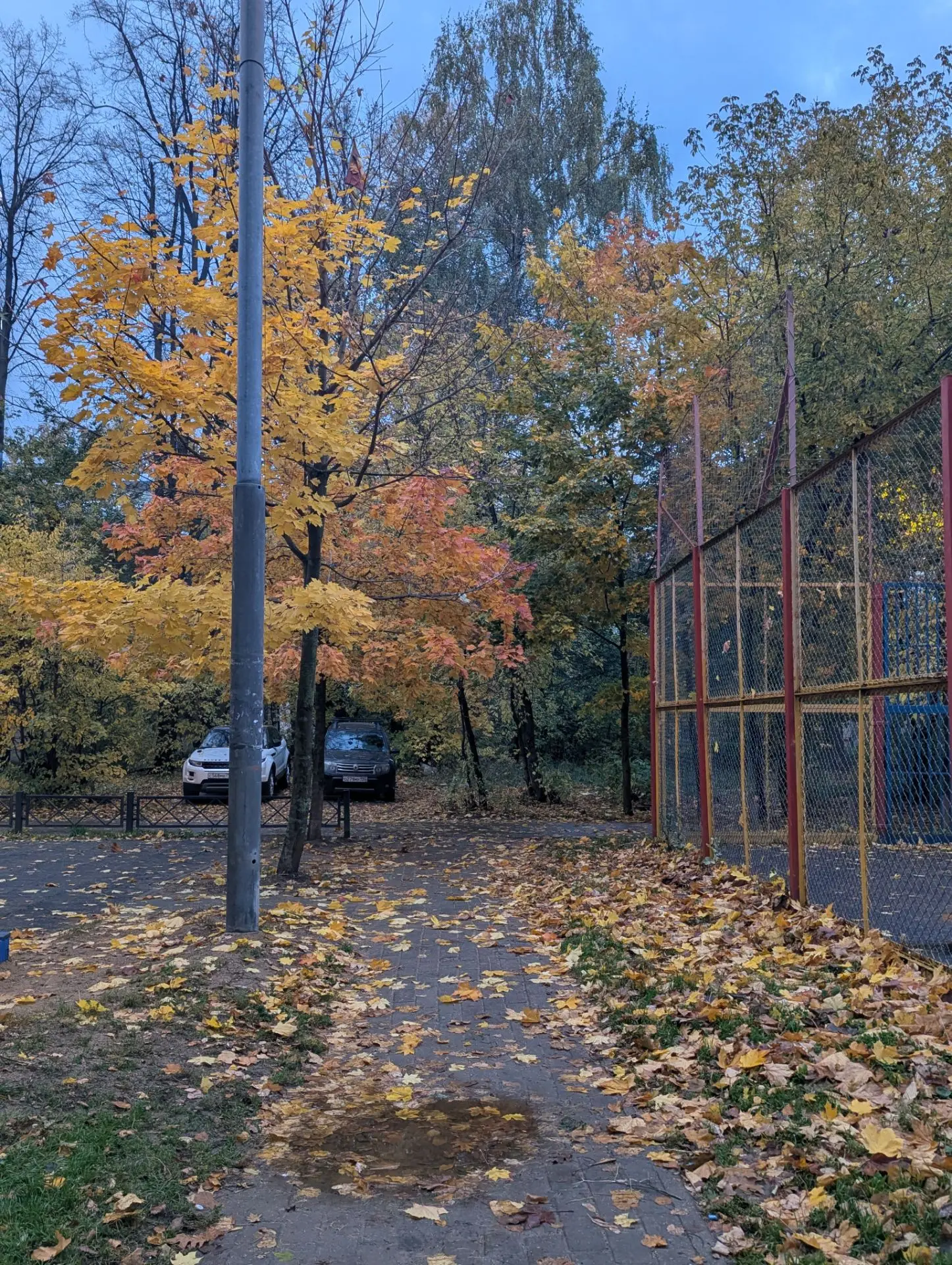 Осень в Мытищах. Район Перловка 🍂🍁