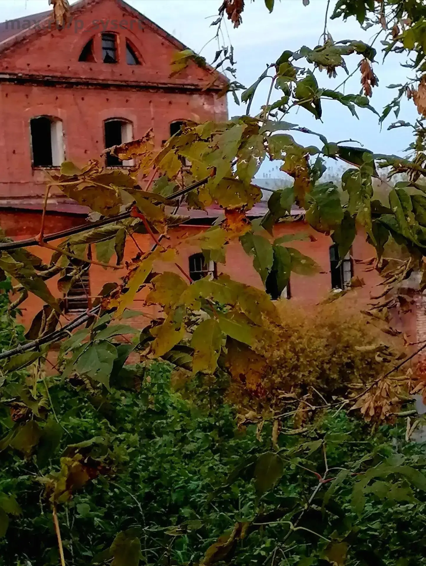 От подписчика: