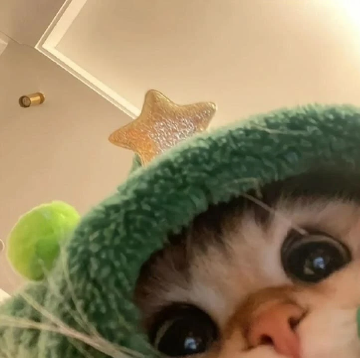 🐸 Ква-ква, я котик