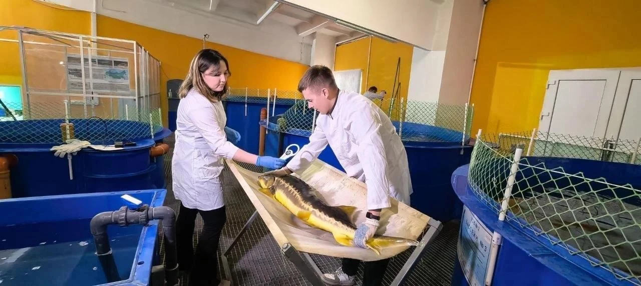 👍 В Подольске создали генетический банк из 130 тысяч образцов сельскохозяйственных жив...