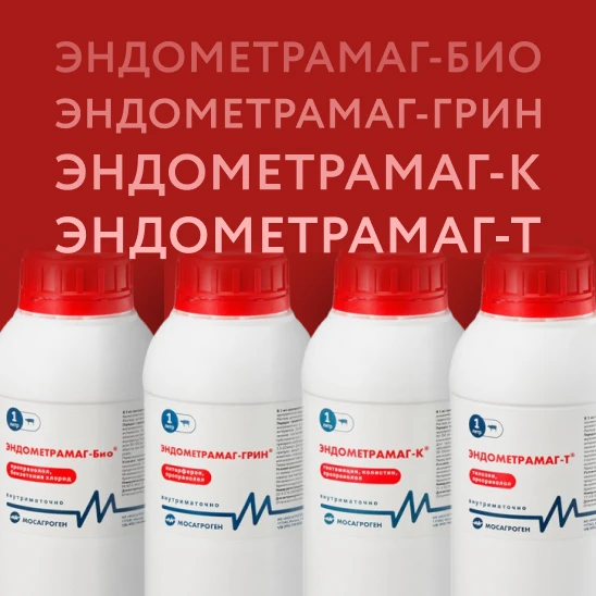 🔻Эндометрамаг‑Био