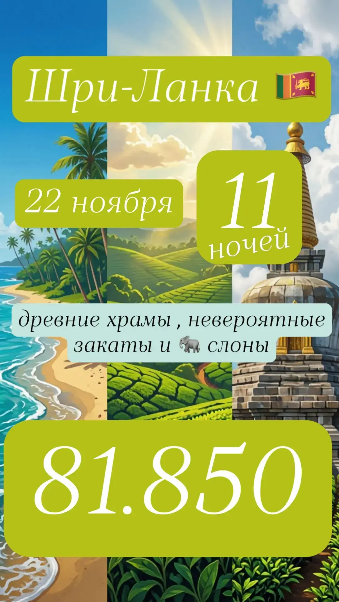Шри-Ланка — это остров контрастов: океан, чайные плантации, древние храмы, слоны и неве...