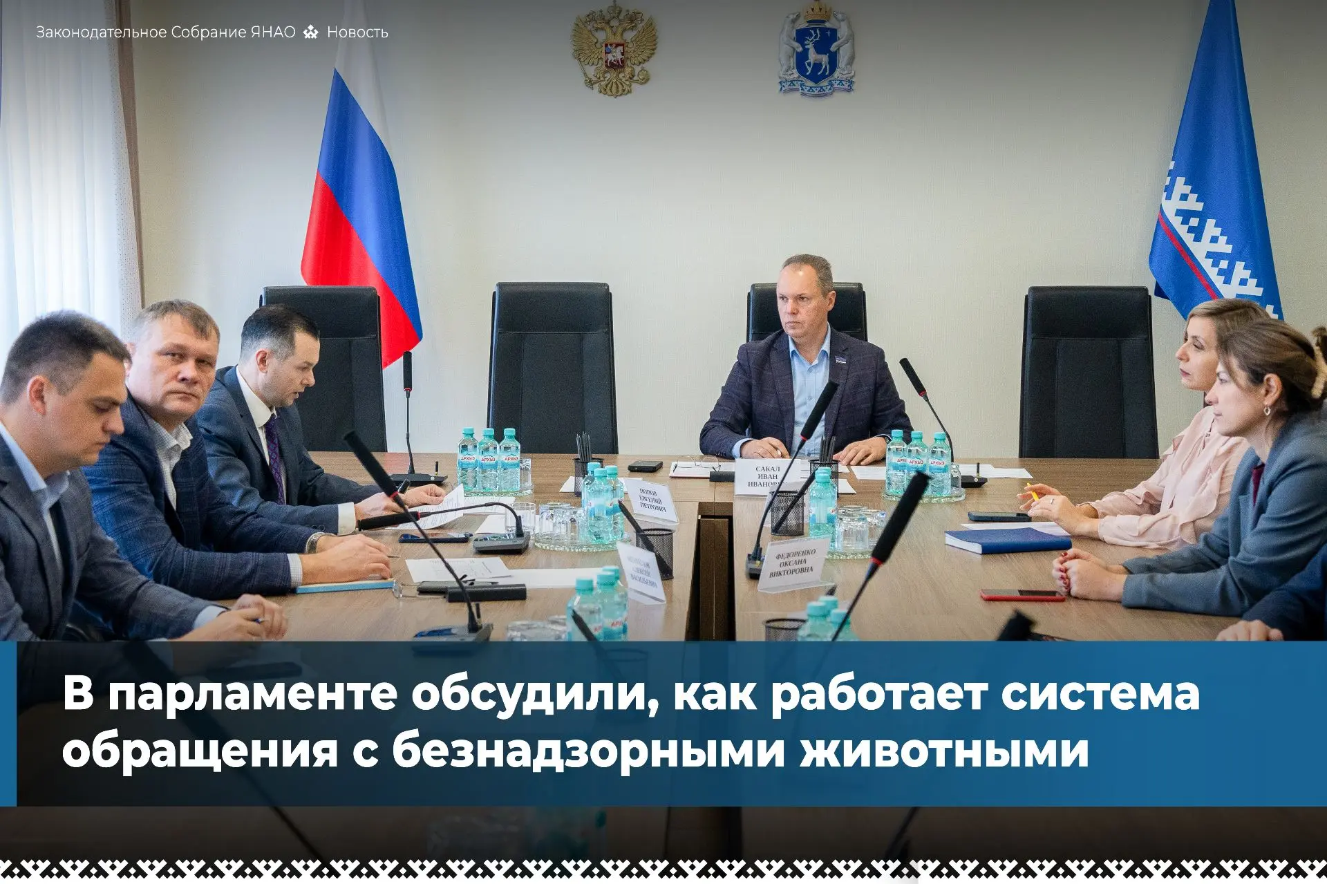Депутаты рассмотрели результаты работы в сфере обращения с бездомными животными за шест...