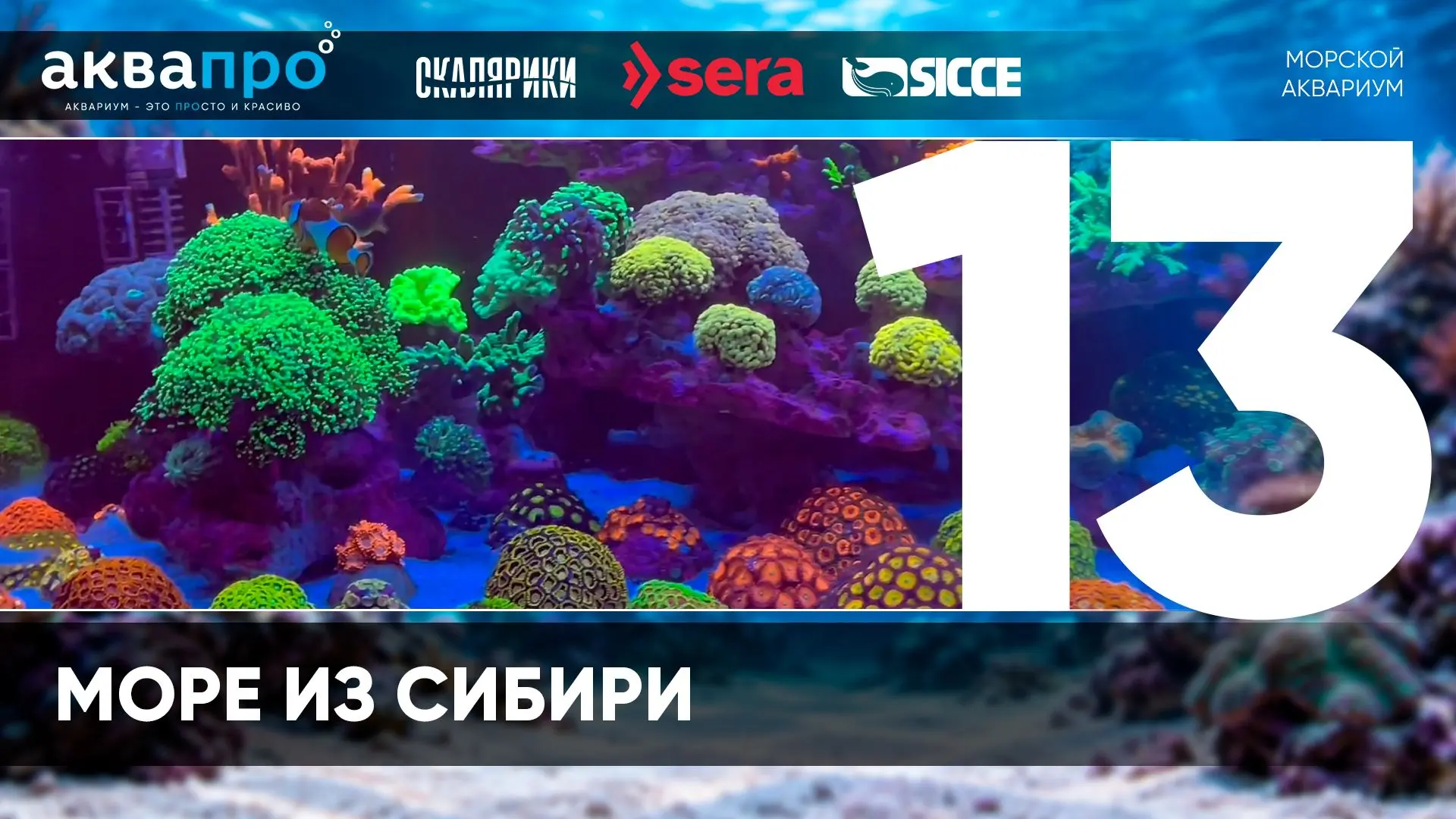 Фамилия Имя Отчество: Фоминских Денис Геннадьевич