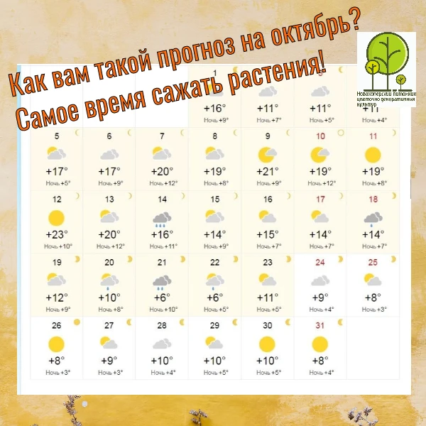 🍂 ОКТЯБРЬ ОБЕЩАЕТ БЫТЬ ТЁПЛЫМ — И ЭТО ОТЛИЧНАЯ НОВОСТЬ ДЛЯ ТЕХ, КТО ХОЧЕТ ПОСАДИТЬ САД