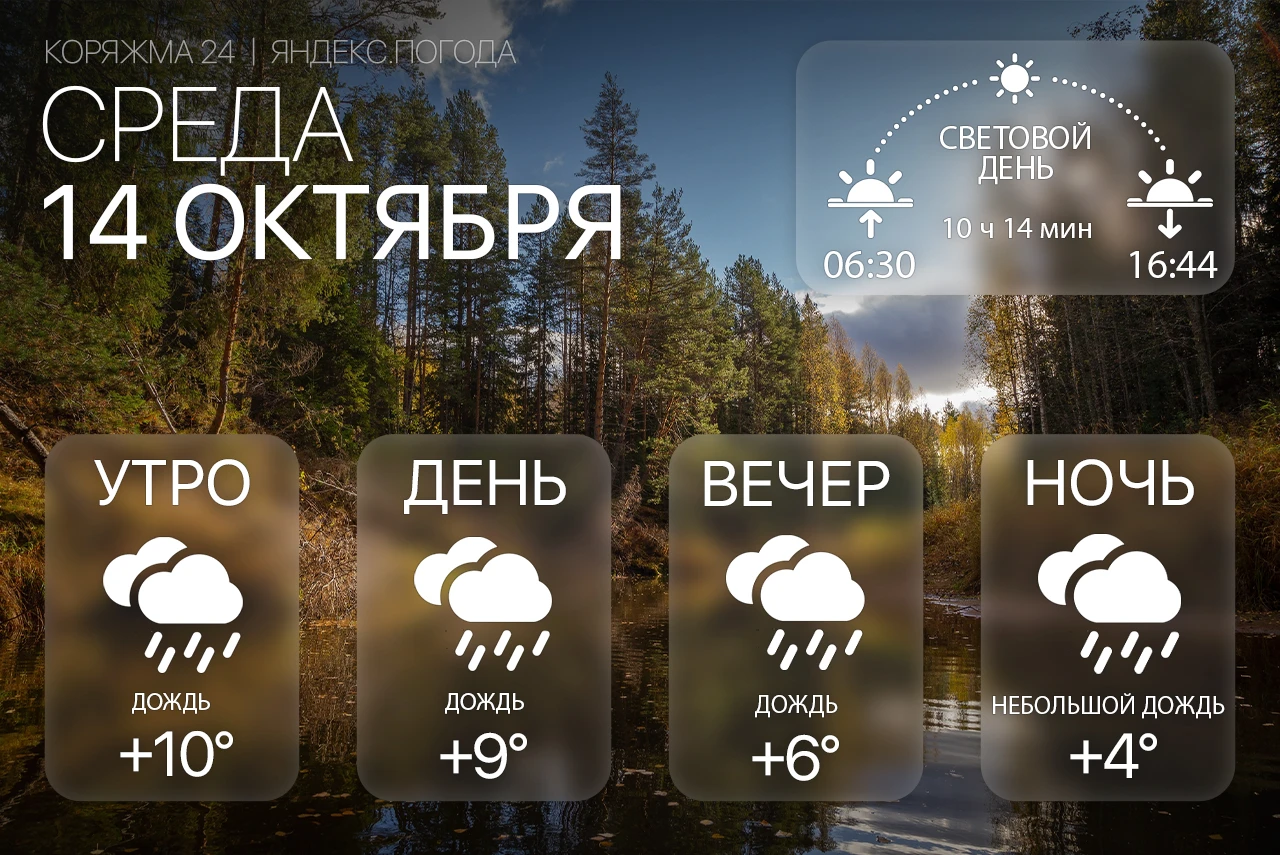 Доброе утро, Коряжма! 🌧️