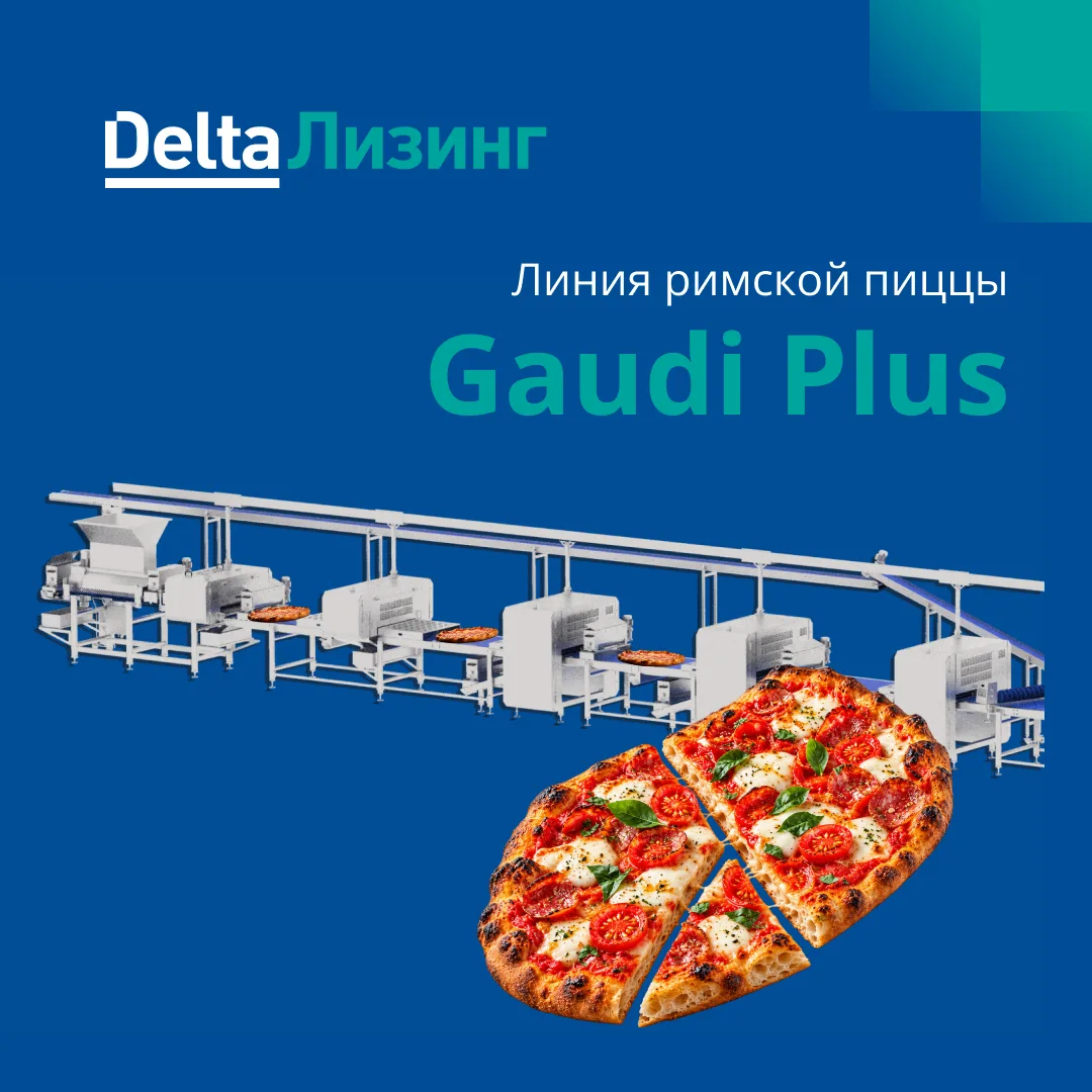 И такое мы финансируем: линия римской пиццы Gaudi Plus 🍕