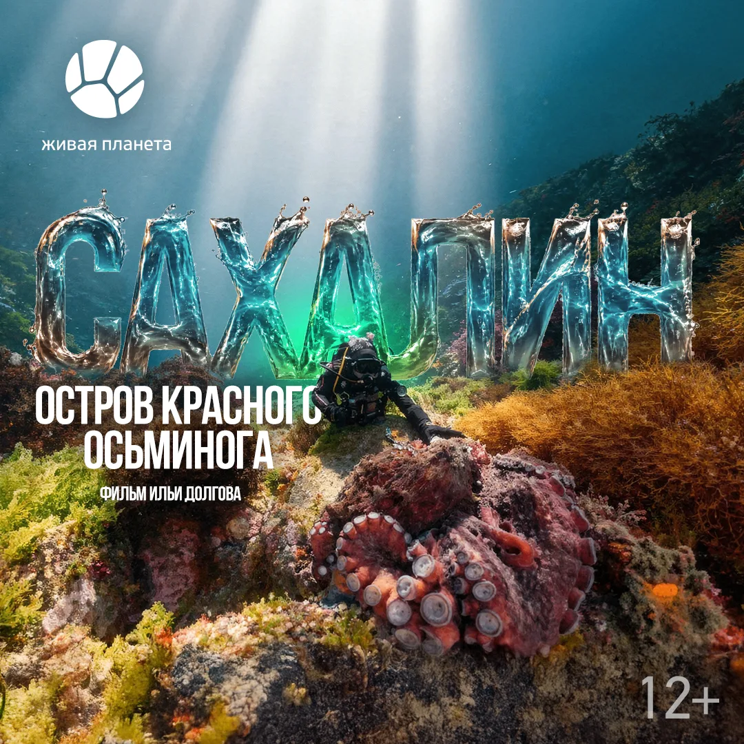 16 октября в лектории Русского географического общества (РГО) пройдет бесплатный премье...
