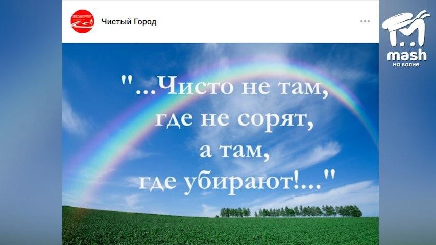 Крысы могут заполонить дворы Севастополя из-за мусорного коллапса.