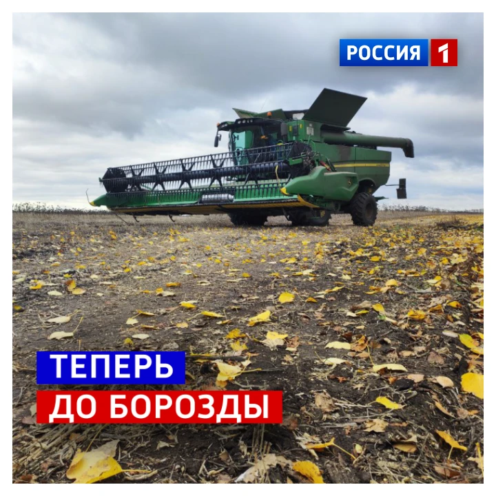 🗓️ 11 октября, воскресенье