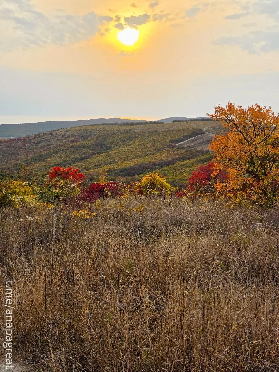 В горах над Анапой сейчас невероятно сочная осень. 🍁