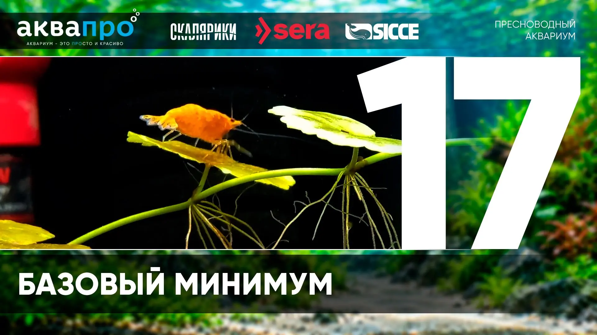 Фамилия Имя Отчество: Карамышева Карина Григорьевна