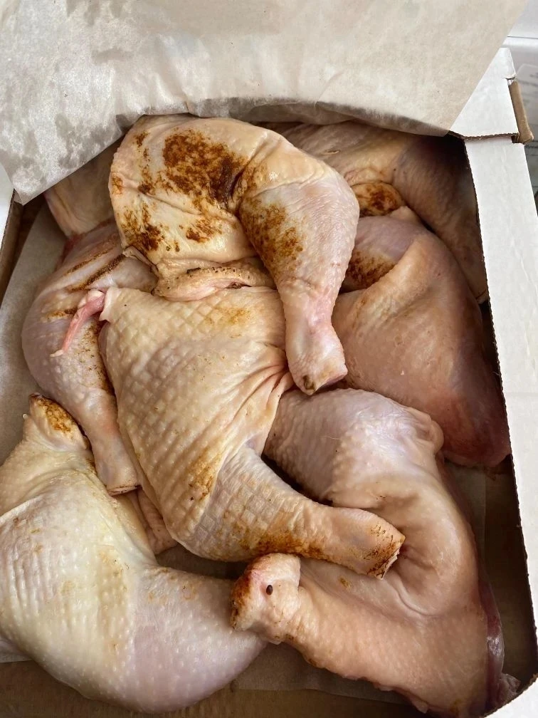 🐔❤🐔❤🐔❤🐔❤🐔❤🐔❤🐔
