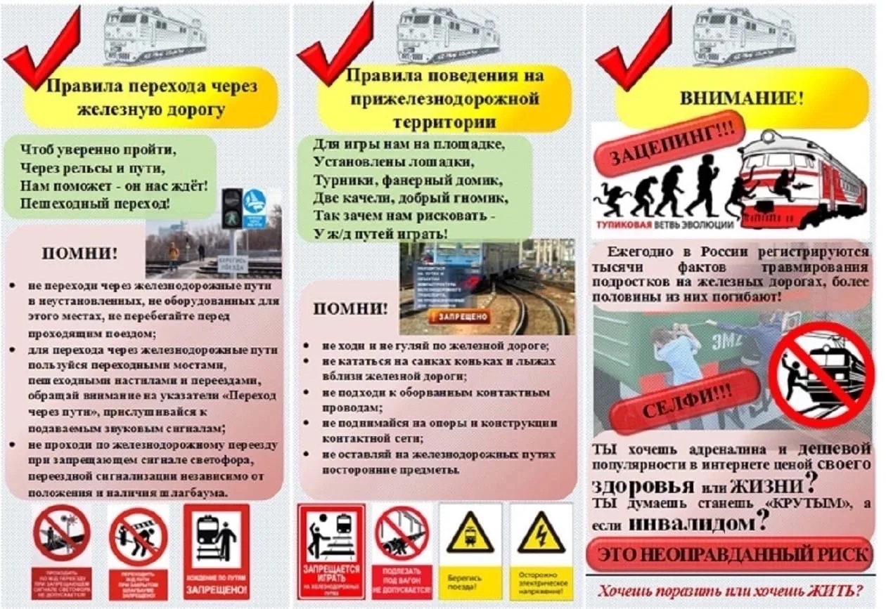 В нашей группе «Вишенка»🍒прошло важное