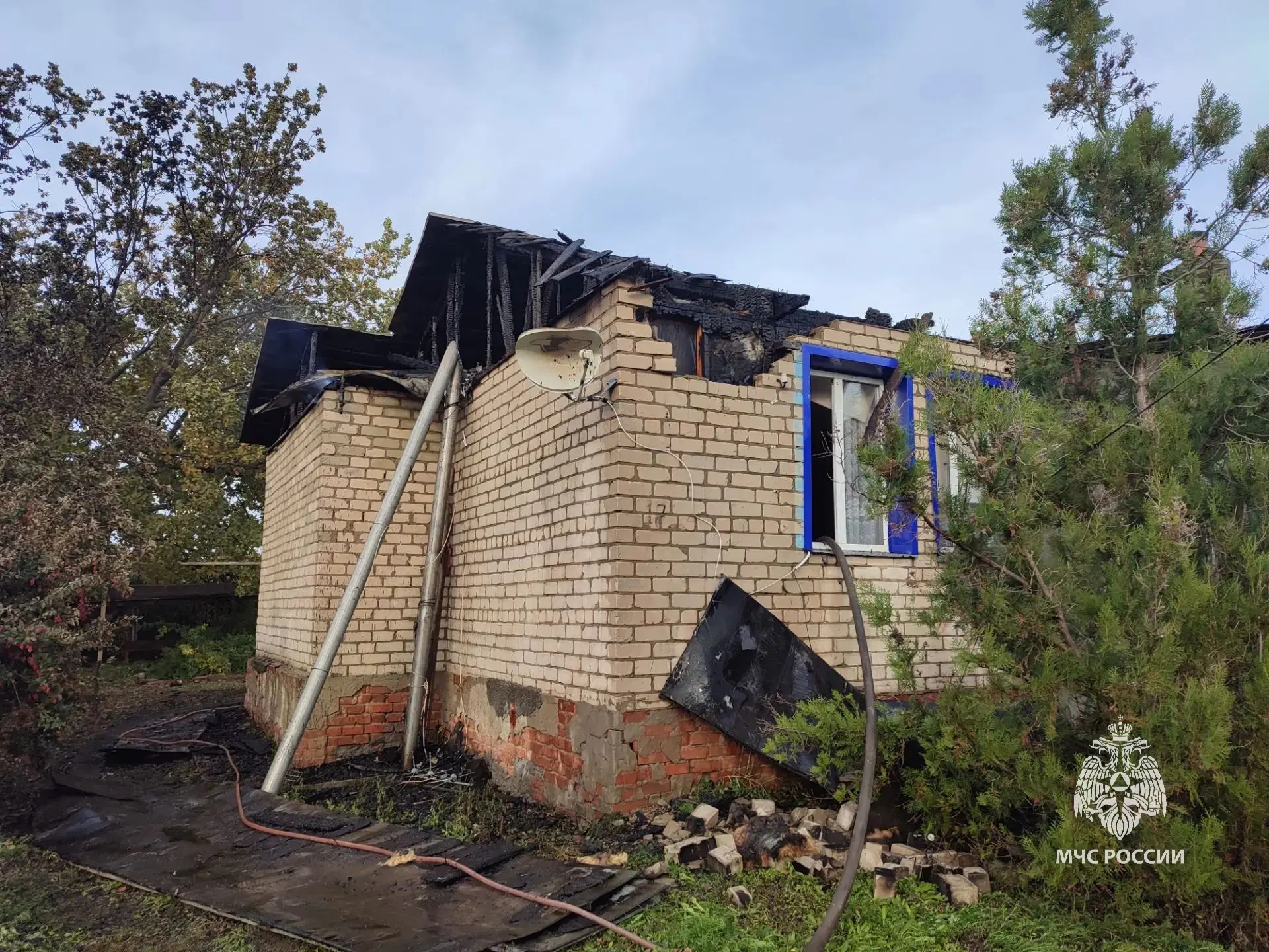 В Саратовской области за прошедшие сутки