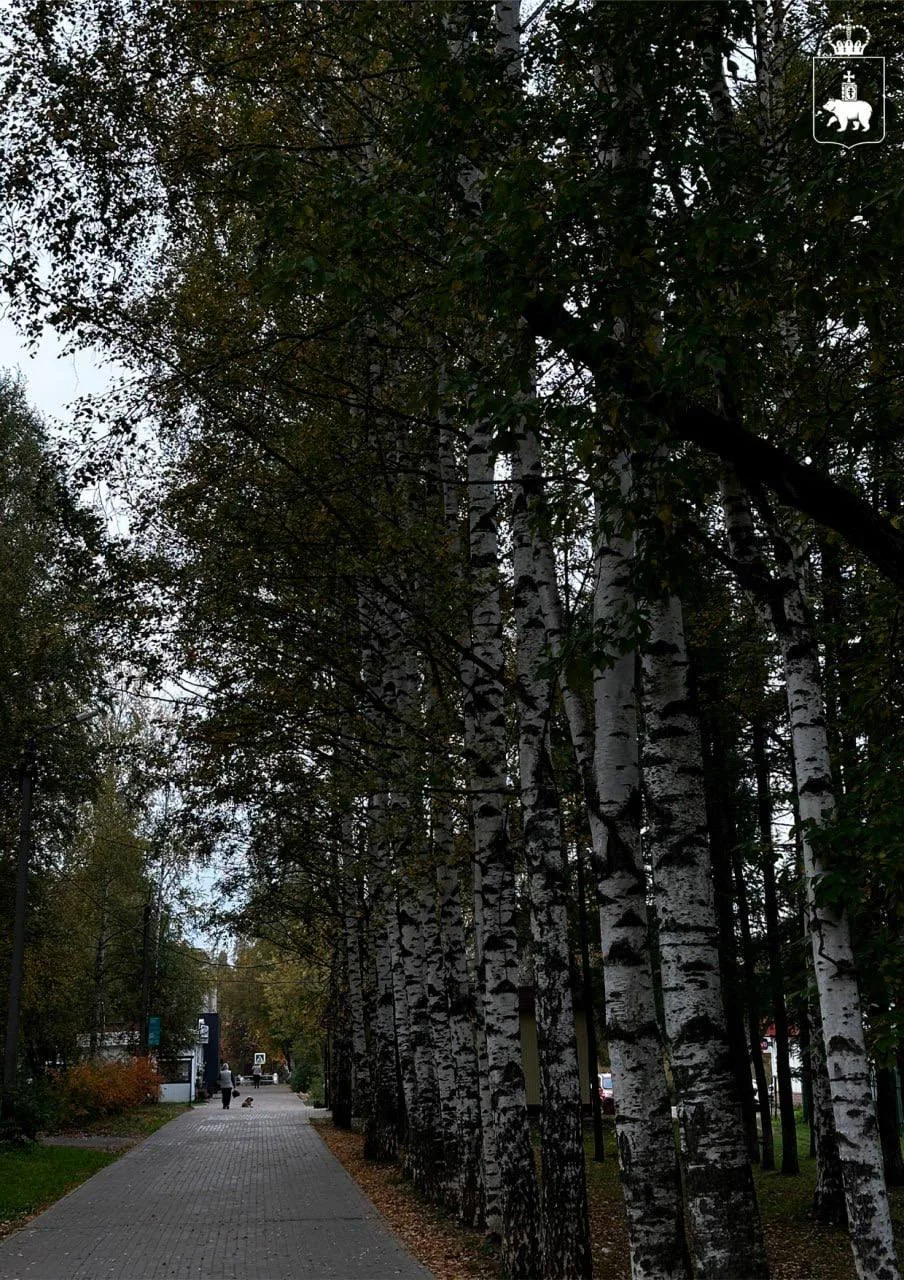 Осень в Перми 🍂