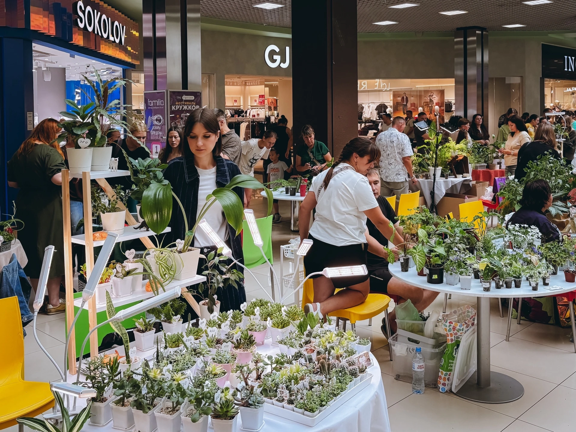 Фитомаркет вновь в "Коллаже" 🌿