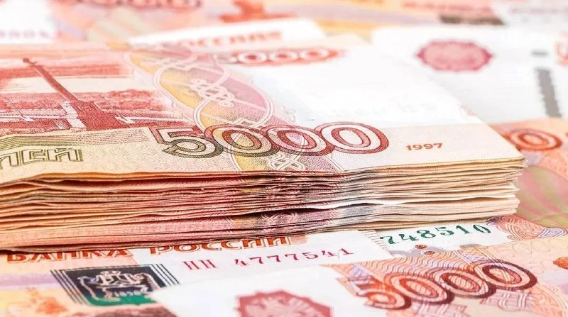 Многодетные семьи Подмосковья оформили выплату вместо земли 6,5 тысячи раз за год.