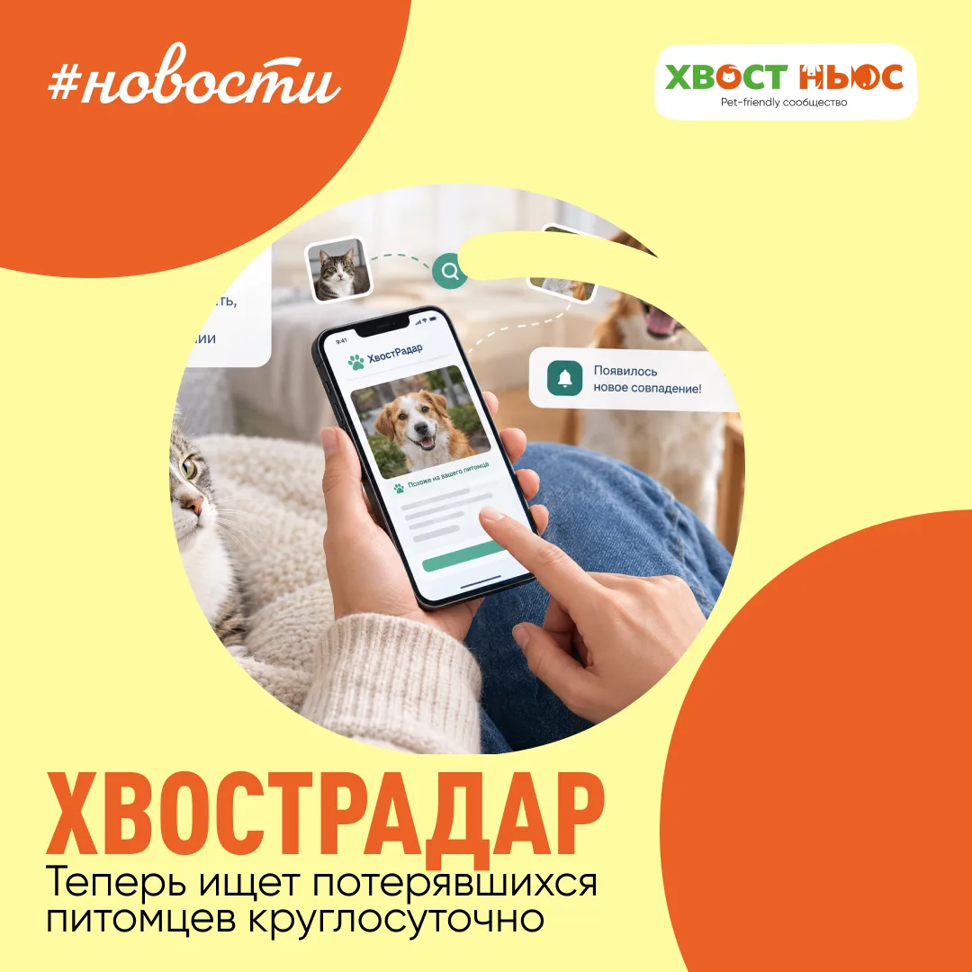 «ХвостРадар» теперь ищет потерявшихся питомцев круглосуточно