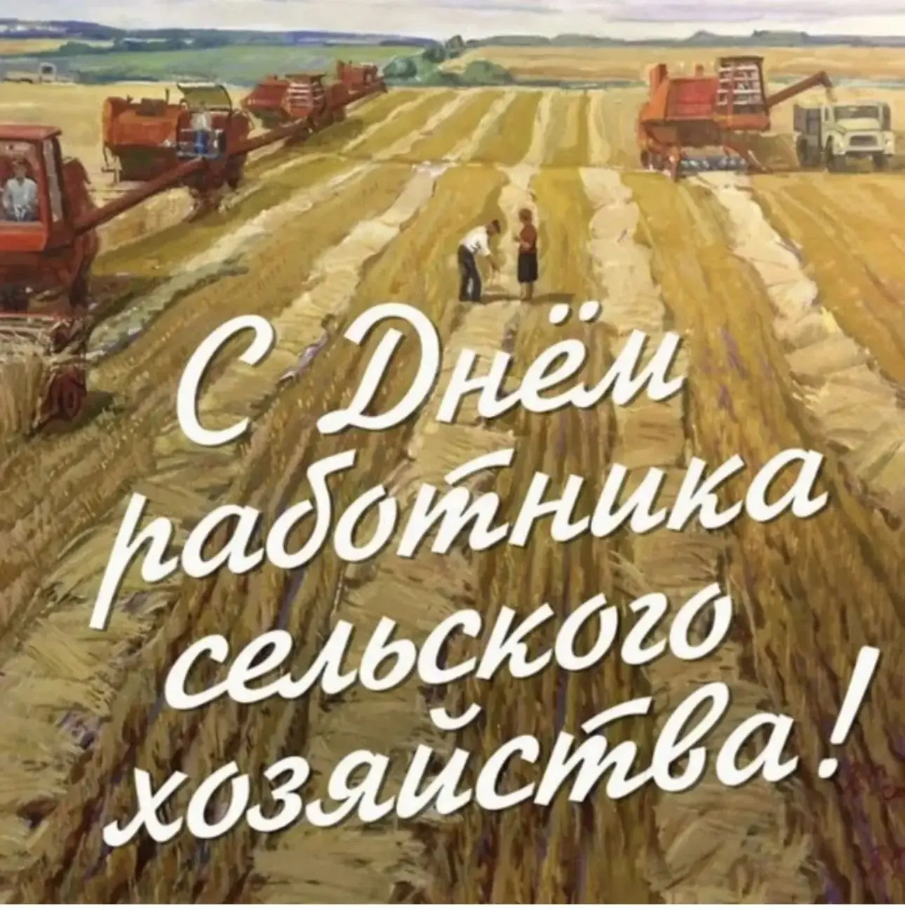 Коллеги, примите поздравления с профессиональным праздником – Днем работника сельского ...