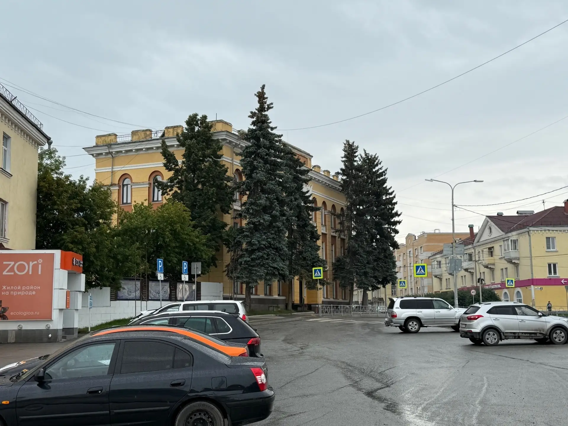 🌲Опасные голубые ели