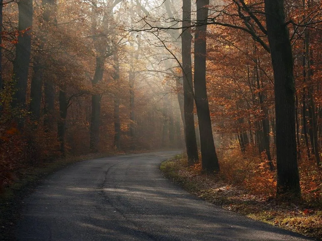 🌿 Доброе утро