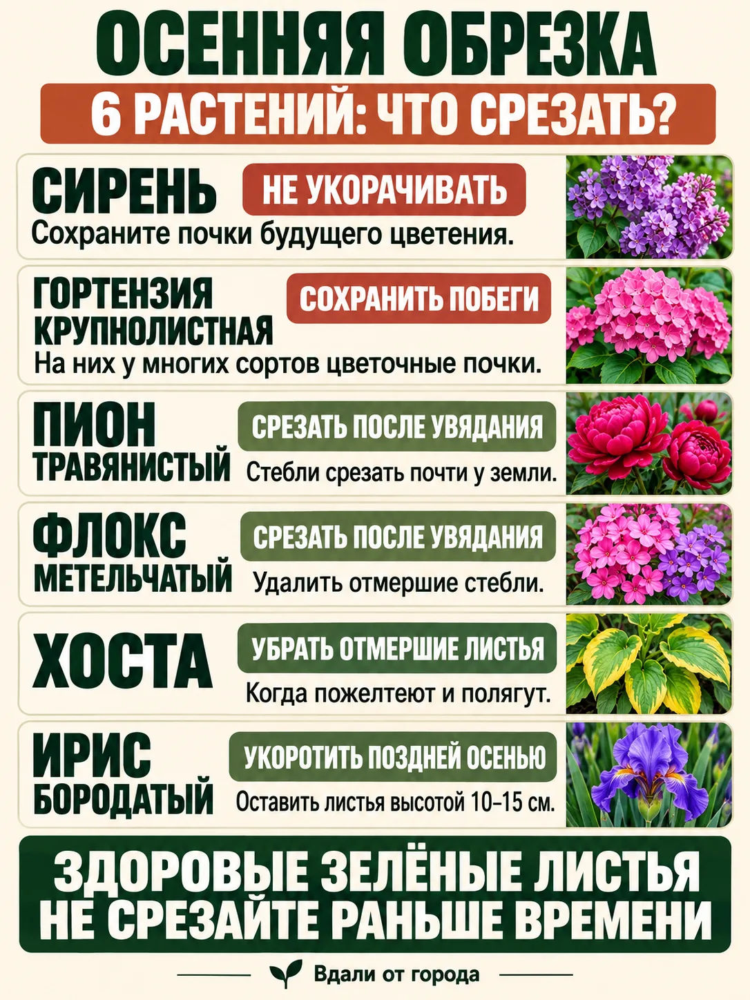 ✂️ ОСЕНЬЮ НЕ ВСЁ НУЖНО ОБРЕЗАТЬ!