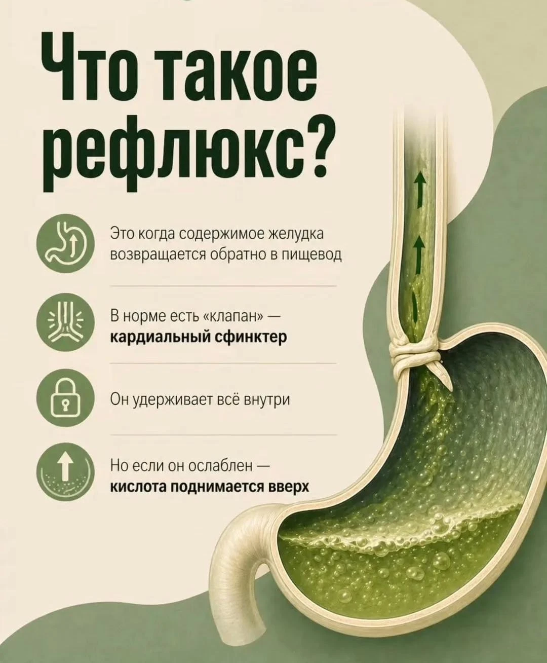 с МЕДИЦИНСКОГО на РУССКИЙ