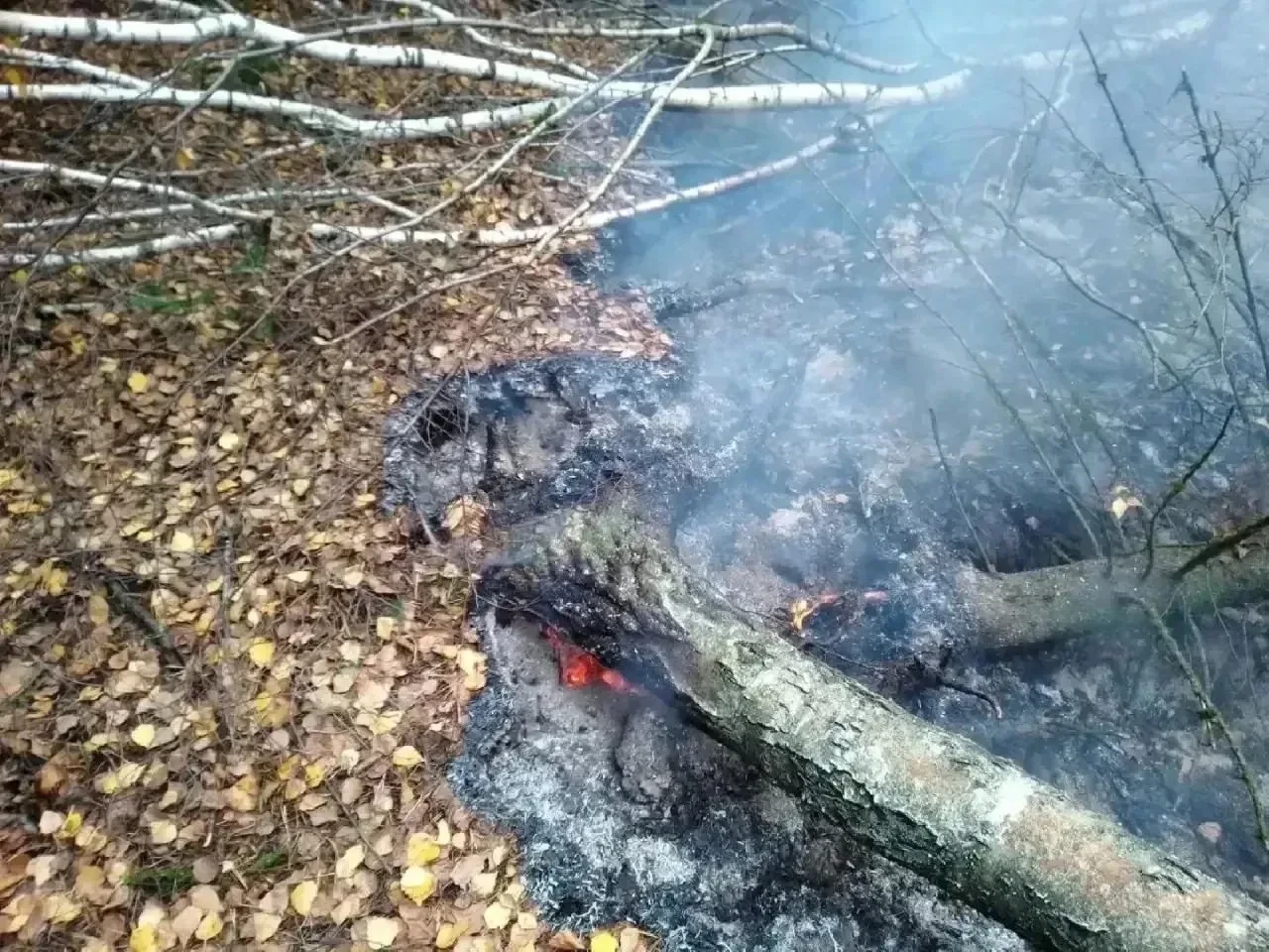 🔥 Под Кратовом справились с торфяным пожаром