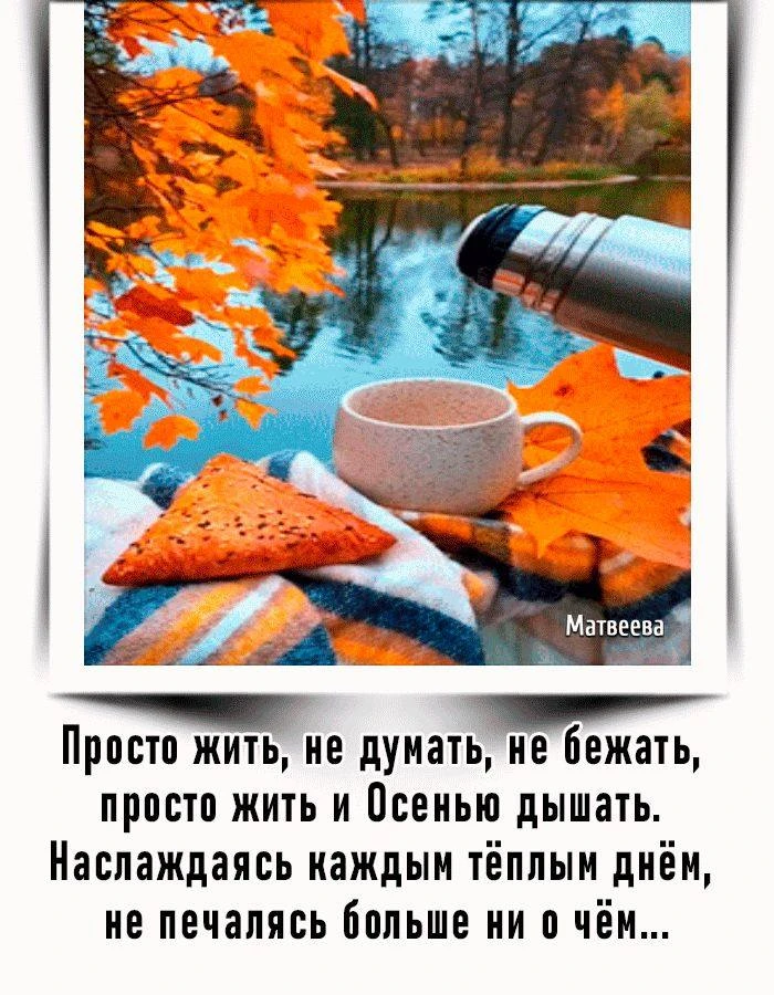 СОВЕТ ДНЯ 13 ОКТЯБРЯ                                                                   ...