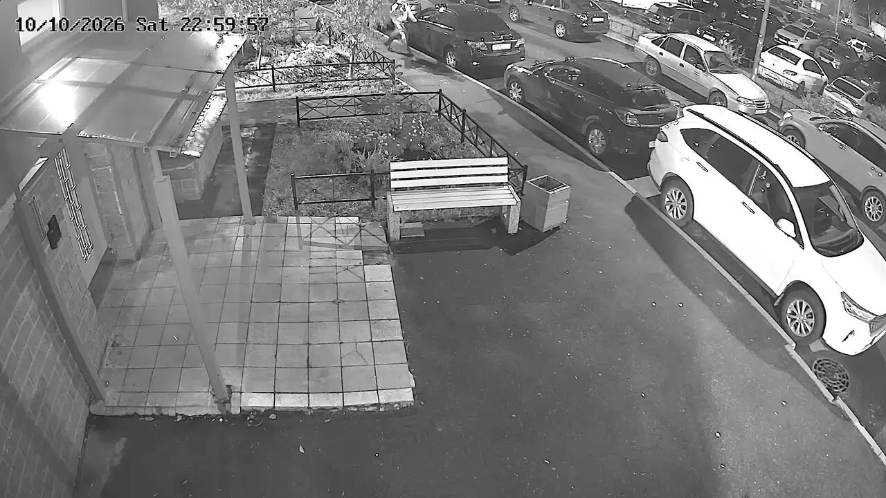 Жители ЖК «Новая Охта» разыскивают вандала, повредившего несколько машин