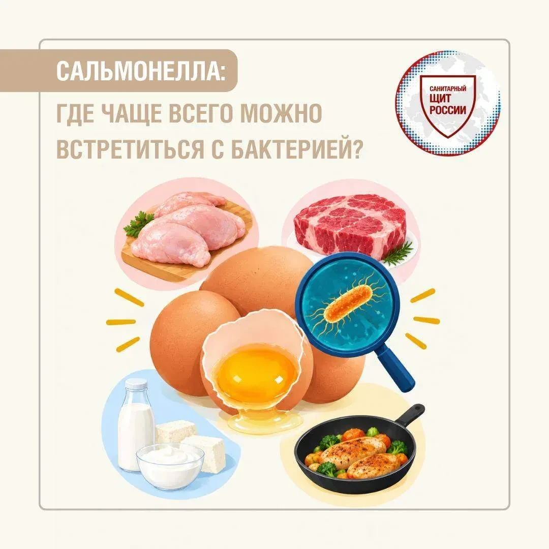 Где можно встретиться с сальмонеллой?