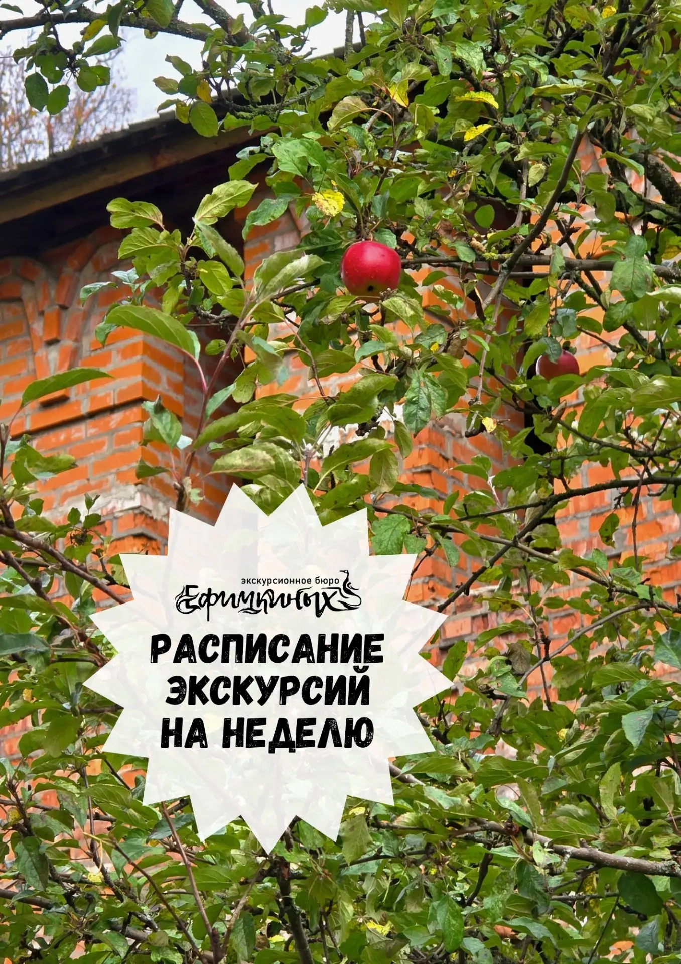 🍂Расписание экскурсий на неделю