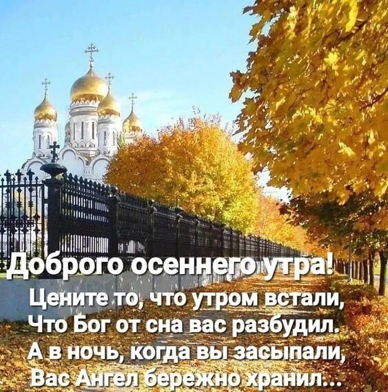 Доброго осеннего утречка друзья. Всего вам хорошего...