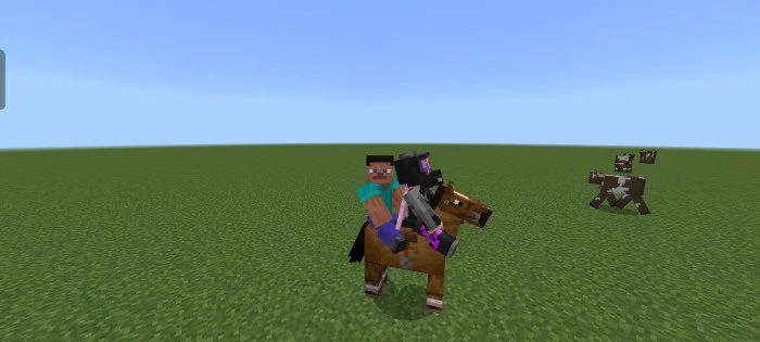 2 Players on 1 Horse