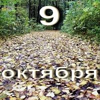 С добрым утром! Желаем начать день с улыбки! Пусть новый день принесет море новых идей ...