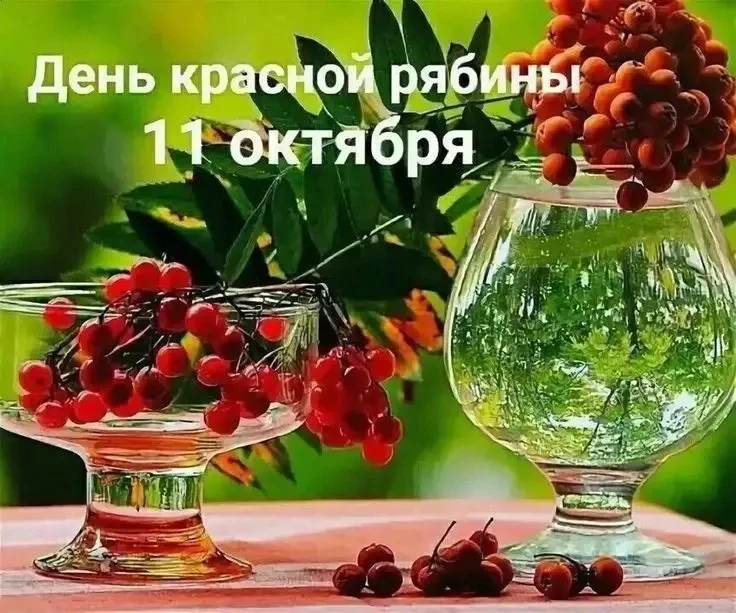 💫Познавательная беседа