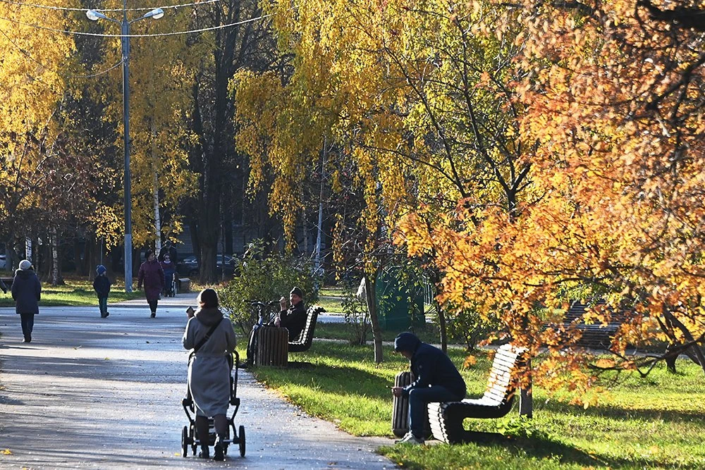 Во вторник в Москве будет облачно, местами пройдут дожди